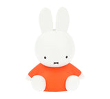 Figurine UDF Dick Bruna